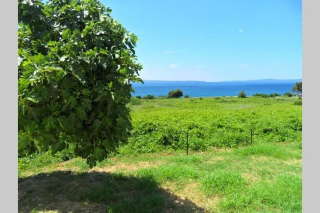 Summerhouse Calypso Split Buitenkant foto